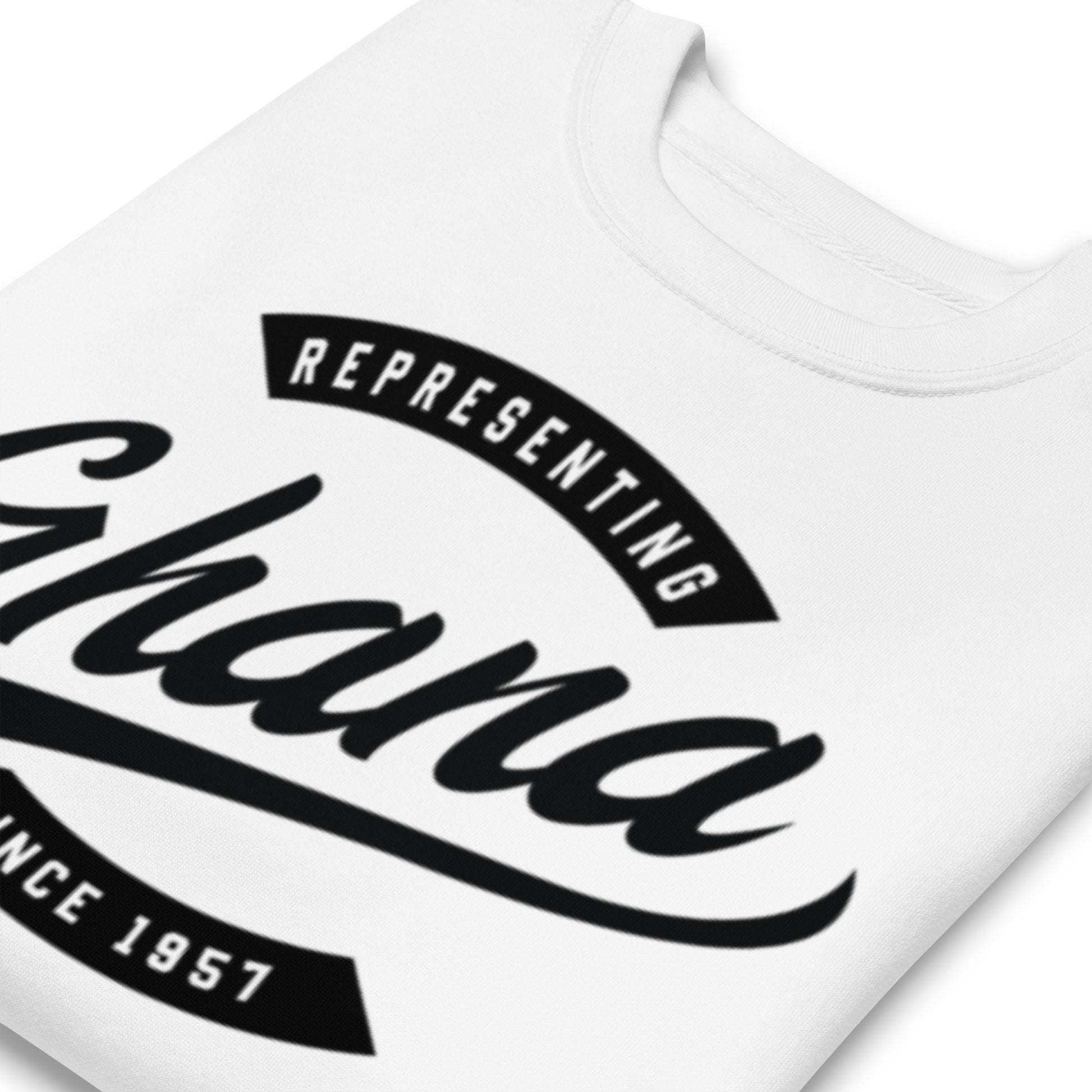 African-inspired sweatshirt for diaspora professionals